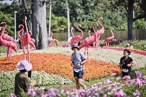 BIB: 
                            <button type="button" onclick="openModal(27793742)" class="btn btn-primary btn-sm float-right btn-popup" data-toggle="modal" data-target=".modal-high-quality">
                        <i class="fas fa-shopping-cart"></i> Add to Cart
                    </button>
                                            <button type="button" onclick="isThisMe(27793742, true)" class="btn btn-success btn-sm float-right btn-popup btn-isme hidden" data-toggle="tooltip" data-placement="bottom" title="นี่คือรูปของคุณใช่ไหม คลิกที่นี่เพื่อเอาเข้าอัลบั้ม">
                        <i class="fas fa-plus"></i> Add to album
                    </button>
                    <button type="button" onclick="isThisMe(27793742, false)" class="btn btn-warning btn-sm float-right btn-popup btn-isnotme hidden">
                        <i class="fas fa-ban"></i> Remove from album
                    </button>